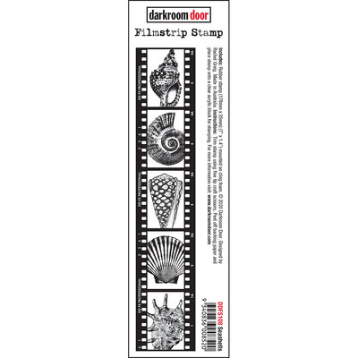 Filmstrip Stamp - Seashells