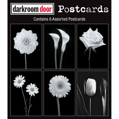 Postcards - Viva La Flora