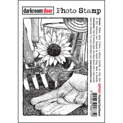 Photo Stamp - Planted Sunflower