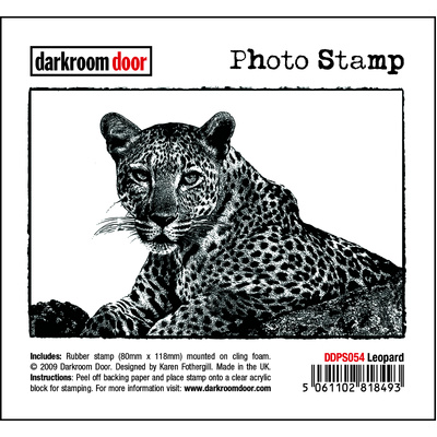Photo Stamp - Leopard