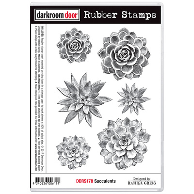 Rubber Stamp Set - Succulents