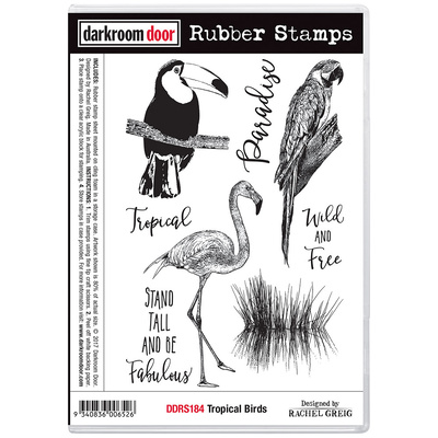 Rubber Stamp Set - Tropical Birds