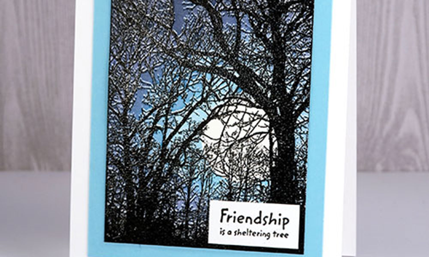 Woodlands Photo Stamp Cards